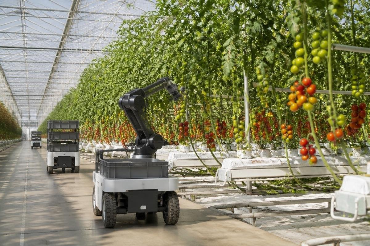 where-greenhouse-robots-can-make-money-1200x800-v1.jpg